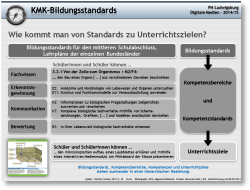 PDF-Dokument in einem neuen Fenster öffnen