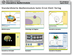 PDF-Dokument in einem neuen Fenster öffnen