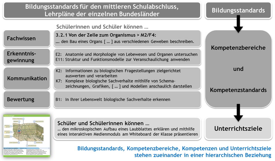 055_standards_unterrichtsziele.png